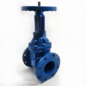 手動閘閥Z41T-16 DN50/DN65廠家直銷，上海發