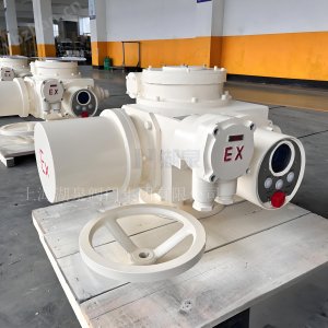 閥門(mén)電動(dòng)裝置dzw90-24選型手冊(cè)及調(diào)試視頻